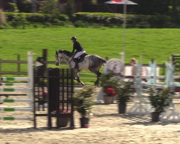 Reitturnier Looperholzer Turniertage 2024