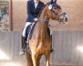 dressage horse Secret's Flame (Oldenburg, 2018, from Secret)