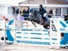 Springpferd Honey di Vitara (Deutsches Sportpferd, 2019, von Hickstead White)