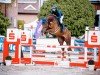 broodmare Vitaras Highlight (Westphalian, 2018, from Hickstead White)