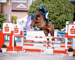 Springpferd Vitaras Highlight (Westfale, 2018, von Hickstead White)