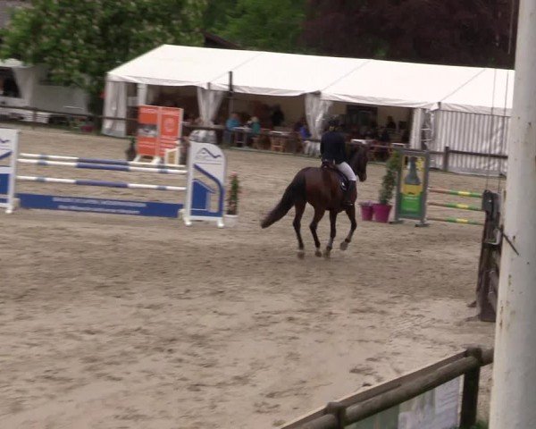 Reitturnier Havixbeck 2024