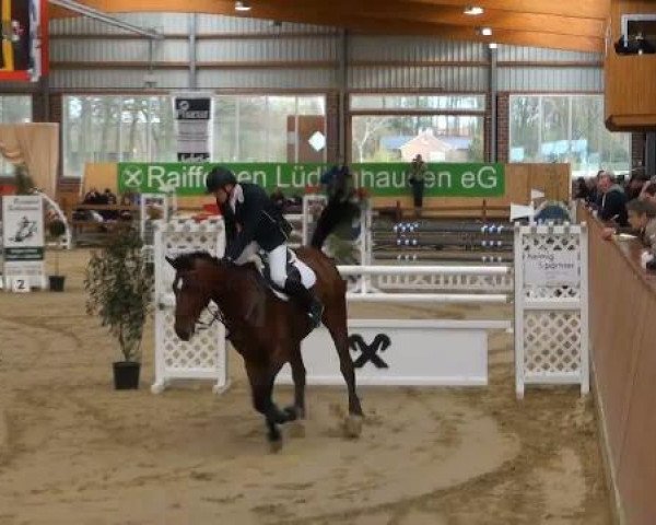 Rosendorf-Classics 2012