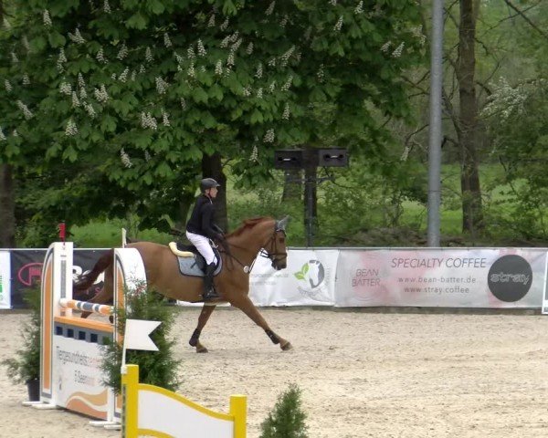 Reitturnier Karlsfeld/Obb. 2024