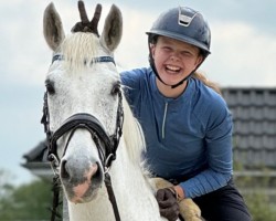 jumper Celisto (Oldenburg show jumper, 2012, from Cellestial)