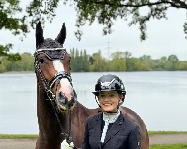 jumper Mila Carolina (German Sport Horse, 2020, from Million Dollar)