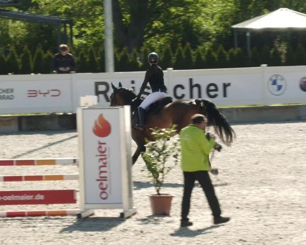 Reitturnier Babenhausen/Schw. 2024