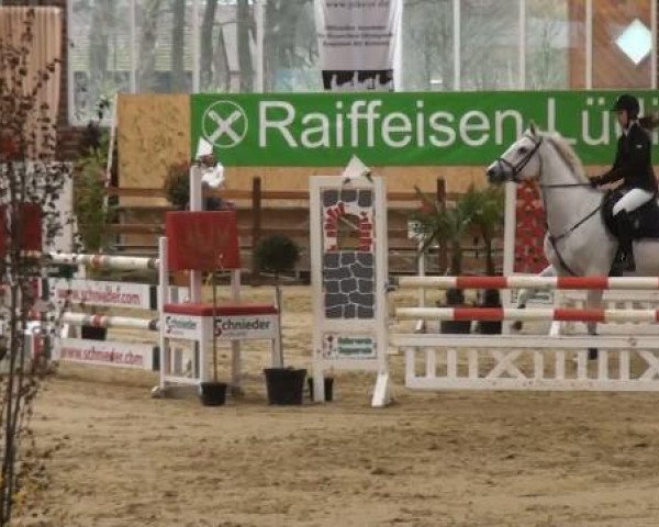 Rosendorf-Classics 2012