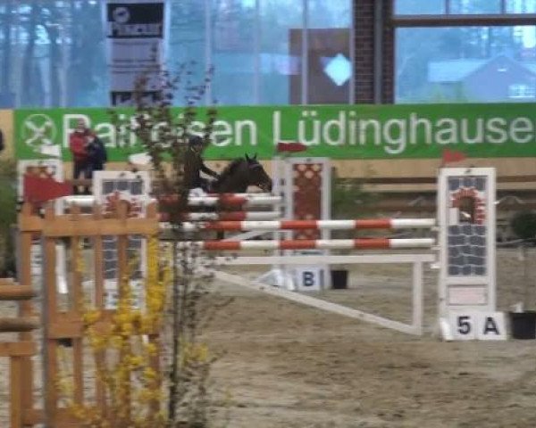 Rosendorf-Classics 2012