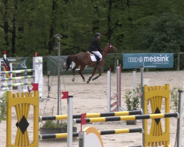 Reitturnier Wuppertal-Gelpe 2024