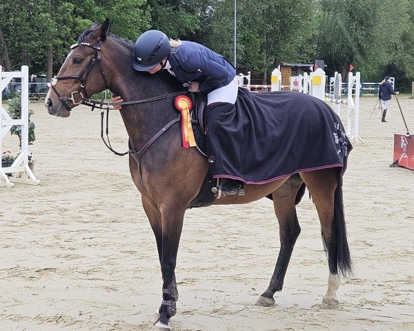 Springpferd Schokaminza (Deutsches Sportpferd, 2019, von Stakkido)