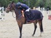 jumper Schokaminza (German Sport Horse, 2019, from Stakkido)