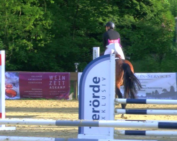 Reitturnier Wesel-Obrighoven 2024