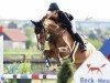 broodmare Calima 11 (Oldenburg, 2014, from Cascadello)