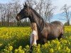 broodmare U-Chelsea (Holsteiner, 2004, from Chello II)