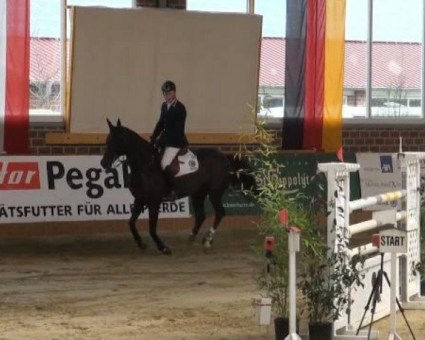 Rosendorf-Classics 2012