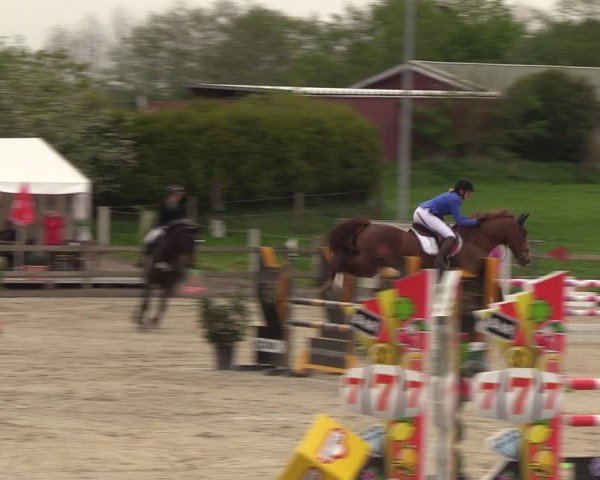 Reitturnier Looperholzer Turniertage 2024