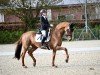 dressage horse Da Lina S.B. (Westphalian, 2013, from Desperado)