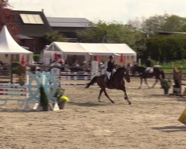 Reitturnier Looperholzer Turniertage 2024