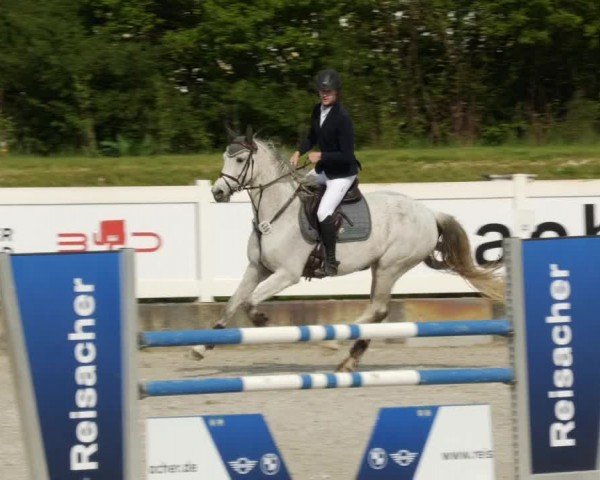 Reitturnier Babenhausen/Schw. 2024