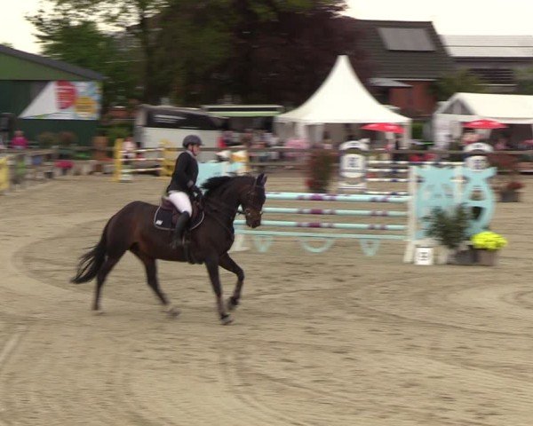 Reitturnier Looperholzer Turniertage 2024