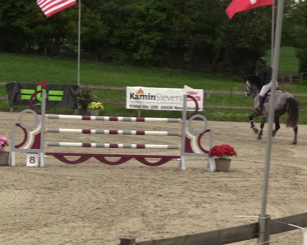 Reitturnier Looperholzer Turniertage 2024