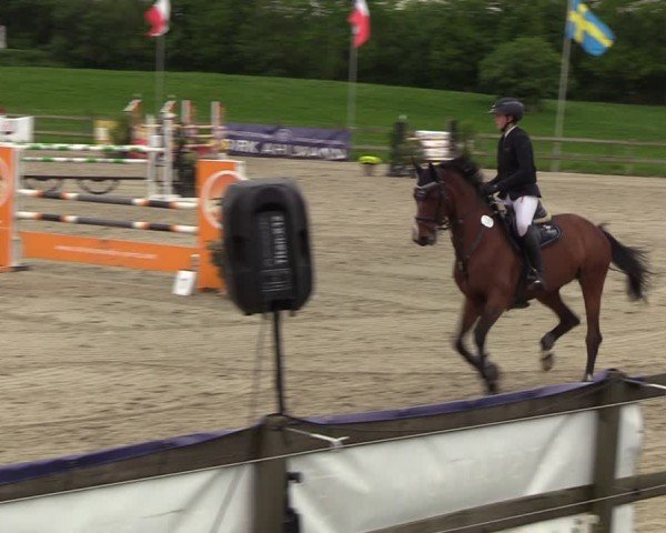 Reitturnier Looperholzer Turniertage 2024
