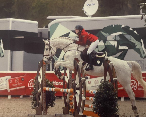 broodmare Umbrella (Holsteiner, 2004, from Quite Capitol)