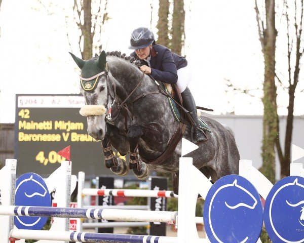 jumper Baronesse Von Braunberg (Zangersheide riding horse, 2015, from Mylord Quidam Z)