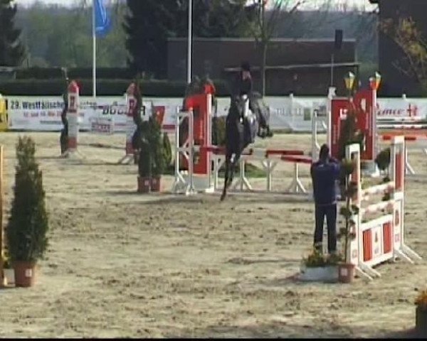 Werne-Lenklarer Reitertage vom 13.-15.+17.-22.04.2012 auf der Reitsportanlage Gripshöver