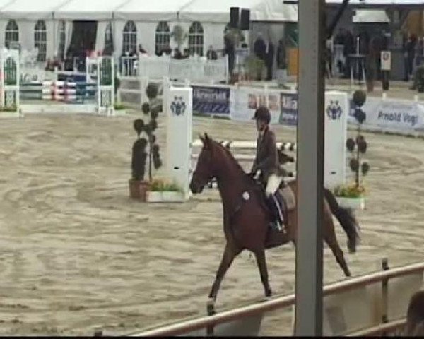 Werne-Lenklarer Reitertage vom 13.-15.+17.-22.04.2012 auf der Reitsportanlage Gripshöver