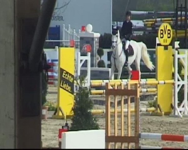 Werne-Lenklarer Reitertage vom 13.-15.+17.-22.04.2012 auf der Reitsportanlage Gripshöver