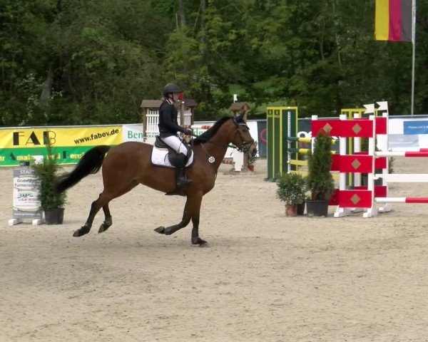 Reitturnier Karlsfeld/Obb. 2024