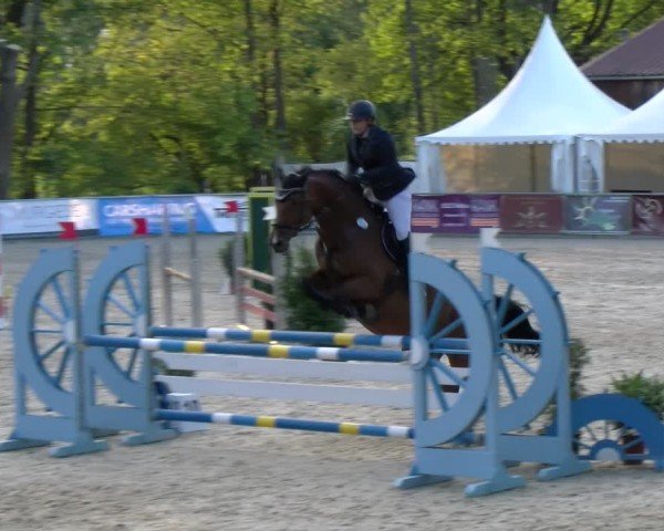 Reitturnier Karlsfeld/Obb. 2024
