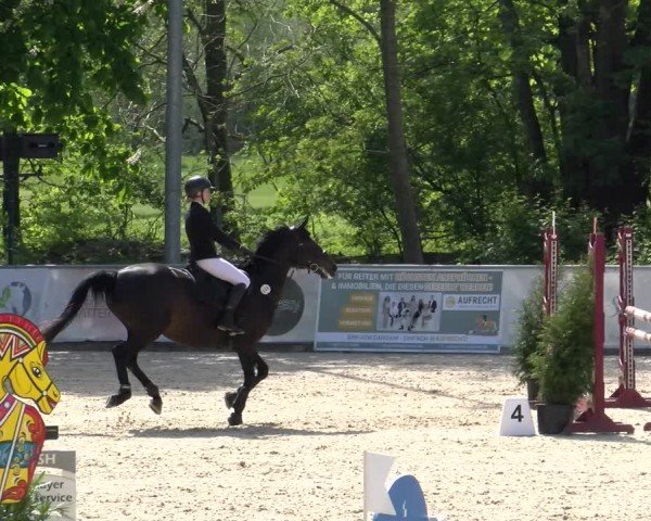 Reitturnier Karlsfeld/Obb. 2024