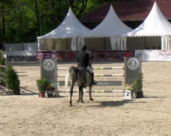 Reitturnier Karlsfeld/Obb. 2024