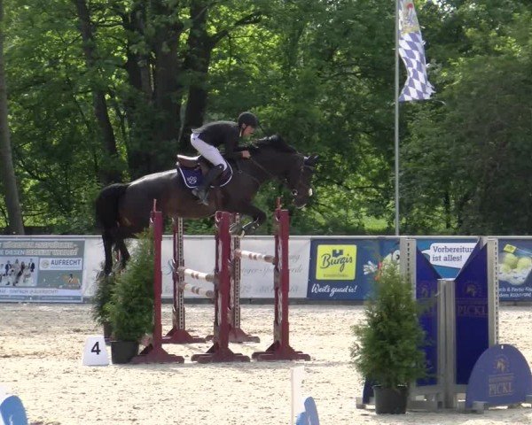 Reitturnier Karlsfeld/Obb. 2024