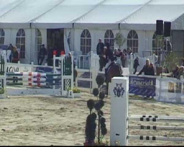 Werne-Lenklarer Reitertage vom 13.-15.+17.-22.04.2012 auf der Reitsportanlage Gripshöver