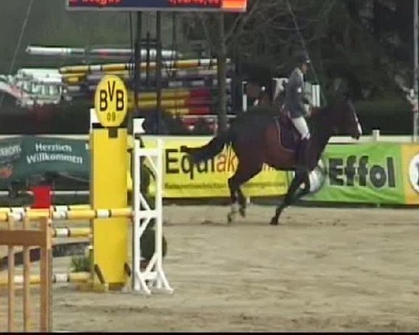 Werne-Lenklarer Reitertage vom 13.-15.+17.-22.04.2012 auf der Reitsportanlage Gripshöver