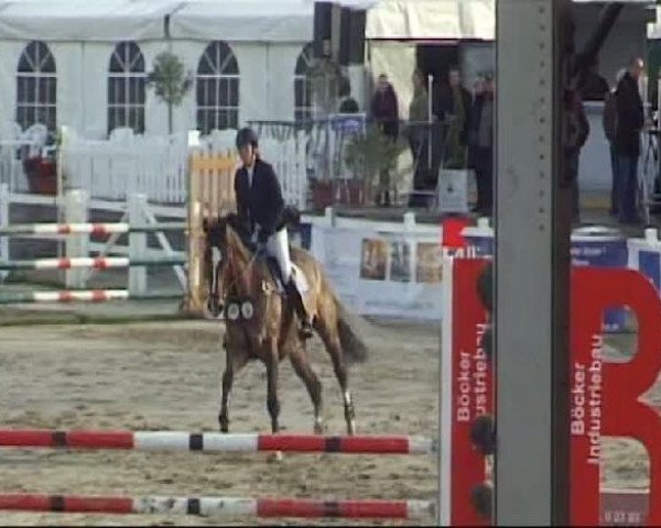Werne-Lenklarer Reitertage vom 13.-15.+17.-22.04.2012 auf der Reitsportanlage Gripshöver