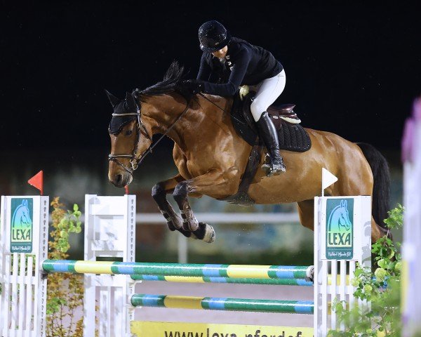 jumper Cassandre des Pres (Swiss Warmblood, 2013, from Cassirado)