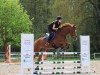 jumper Bonfire Heart 14 (German Sport Horse, 2016, from Beckham GT)