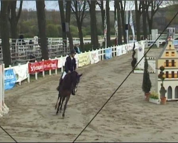 Werne-Lenklarer Reitertage vom 13.-15.+17.-22.04.2012 auf der Reitsportanlage Gripshöver