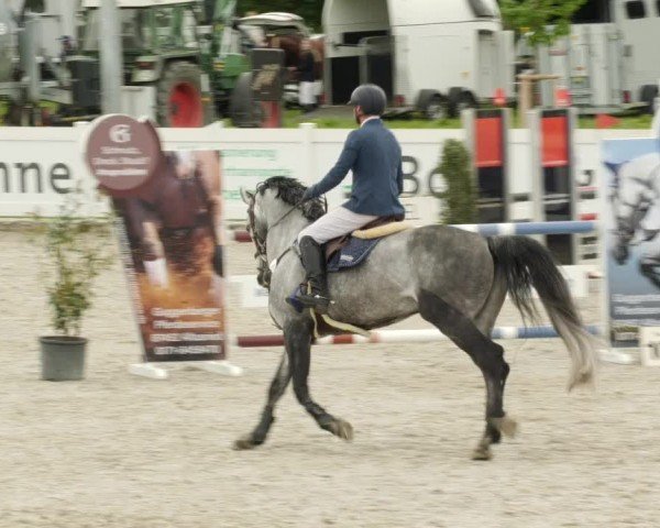 Reitturnier Babenhausen/Schw. 2024