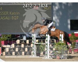 jumper Casali EQ7 (Holsteiner, 2015, from Casall)