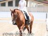 dressage horse Lescalina (unknown, 2013)