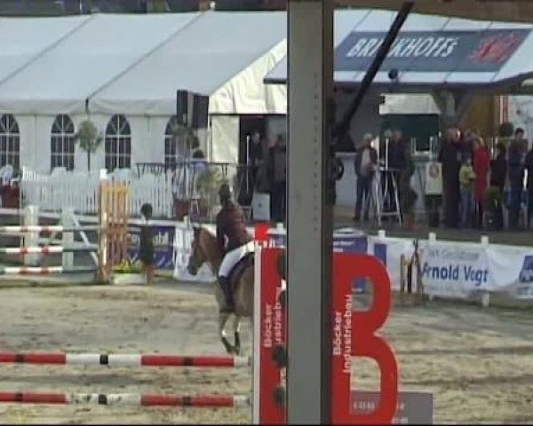 Werne-Lenklarer Reitertage vom 13.-15.+17.-22.04.2012 auf der Reitsportanlage Gripshöver