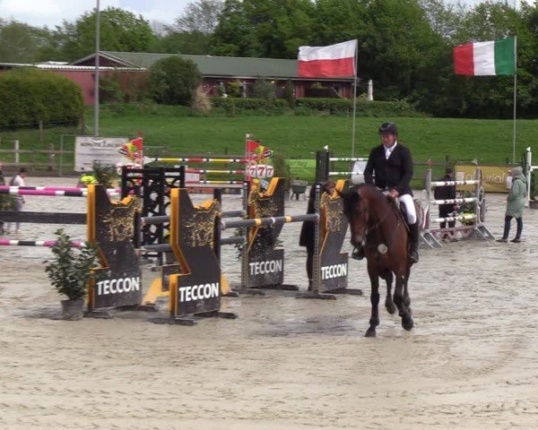 Reitturnier Looperholzer Turniertage 2024
