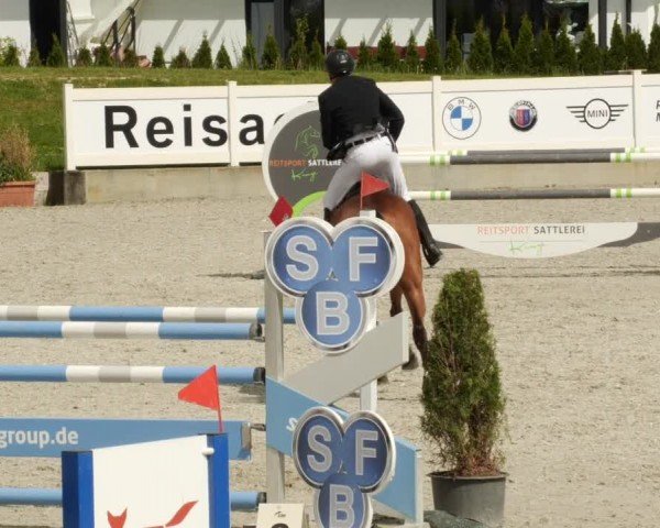 Reitturnier Babenhausen/Schw. 2024