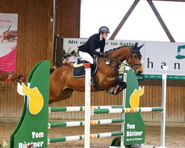 jumper Pocahontas 109 (German Sport Horse, 2018, from Pilot's Letzter)